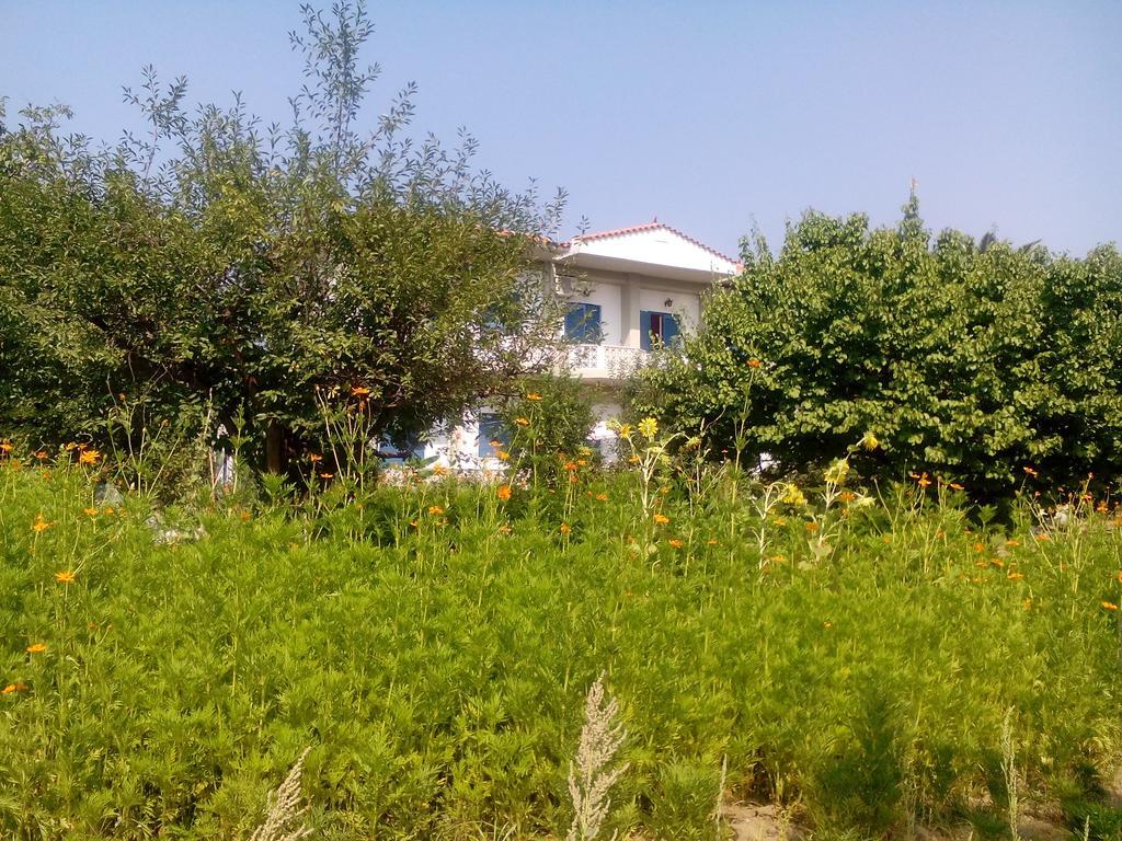 Guesthouse Karidia Skala Eresou Luaran gambar