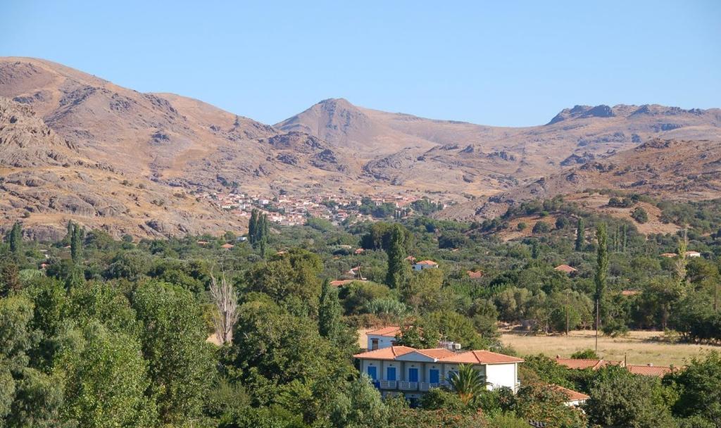 Guesthouse Karidia Skala Eresou Luaran gambar