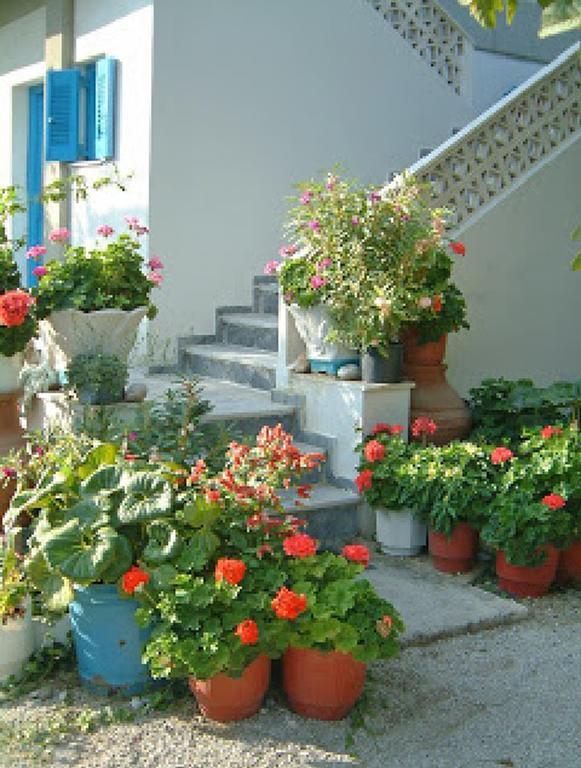 Guesthouse Karidia Skala Eresou Luaran gambar